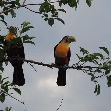 Reserva Maua Hotel Visconde De Maua Kültér fotó